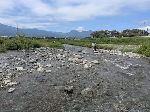流れと石の静謐な景色