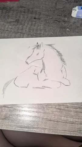 お馬さんの休憩タイム
