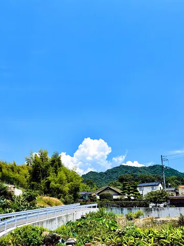 緑と青空、夏の田園風景