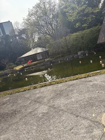 静寂な池に灯る光の小道