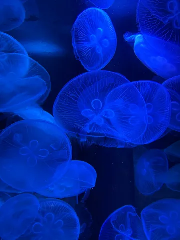 青い水槽に浮く光の粒