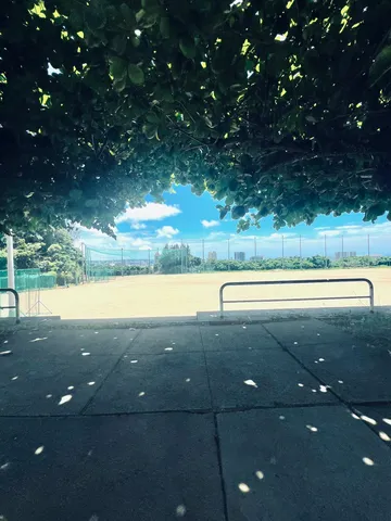 木漏れ日の下、球場に続く道