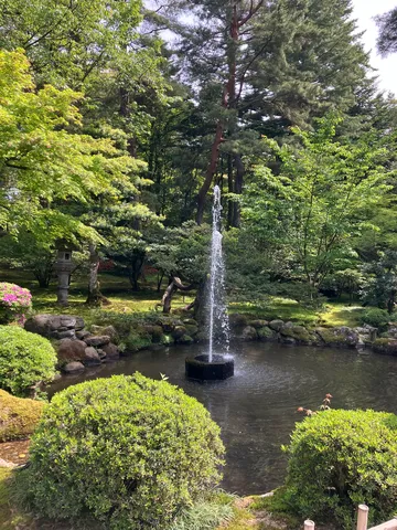 緑に囲まれた水辺のオアシス