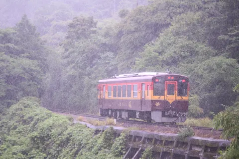 雨音を乗せて走る、緑のトンネル