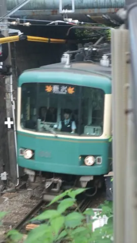緑の電車、旅の始まり