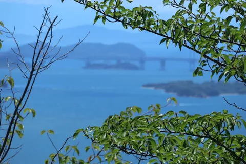 緑に縁取られた水平線
