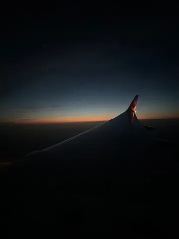 旅立ちの静寂、翼が描く夜明け