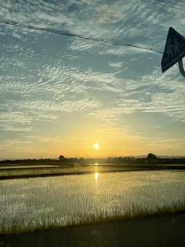 田んぼに映る夕日と雲