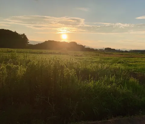 夕暮れ時の田園風景に映る太陽