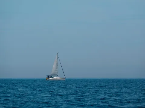 大海原を駆ける白き翼