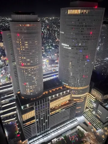 夜景を抱く二本の塔