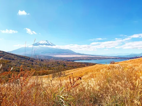 秋色に染まる富士山と湖