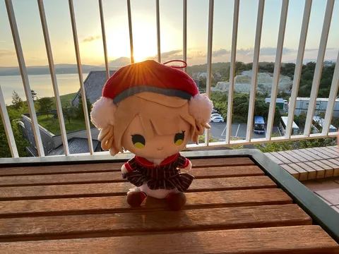 ぬいちゃん、特等席で夕日鑑賞