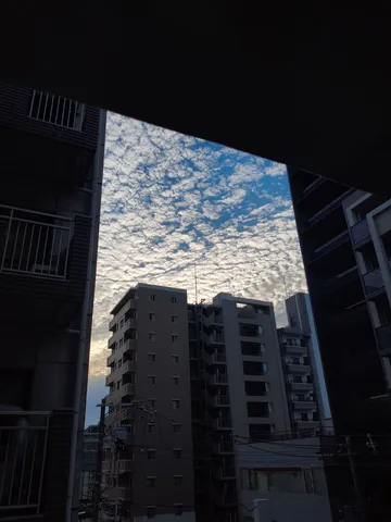 ビル群の隙間、積雲の絨毯