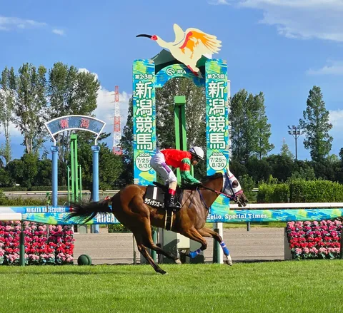 疾走する夏の新潟競馬場