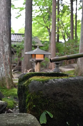 静寂に佇む、苔むした水石