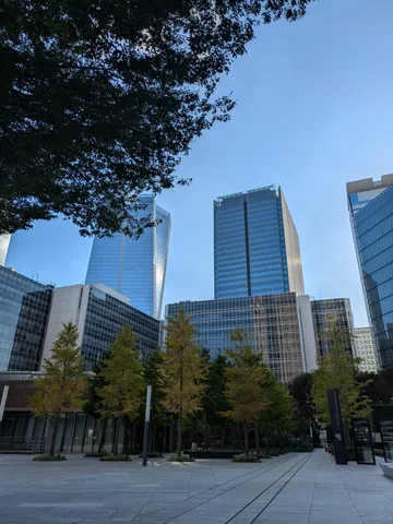都会の木陰に光を纏う