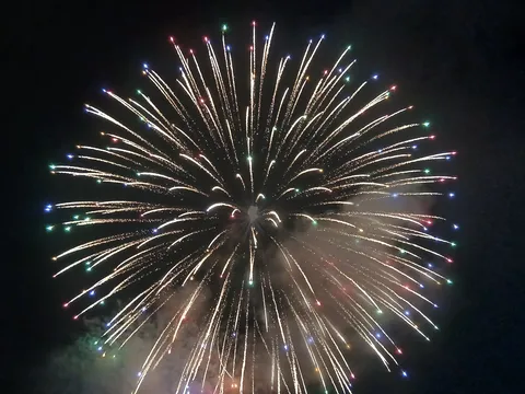 夜空を彩る光の華