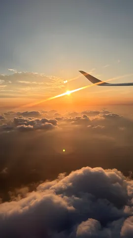 雲海に沈む太陽、空の旅
