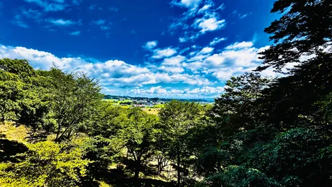 青と緑の景色が広がる