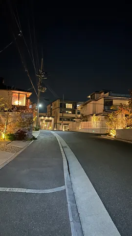 静寂を照らす街灯の灯り