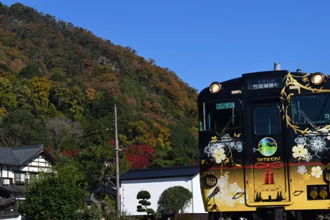 秋色に染まる山とデザイン列車