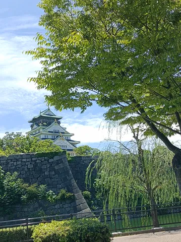 緑に包まれた古城の威厳