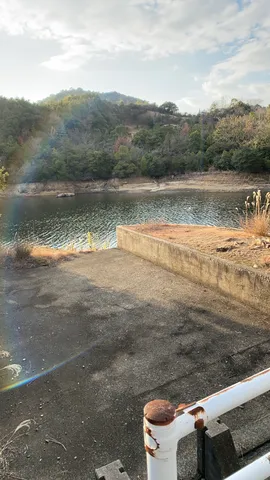 水辺に光の虹、静かな午後