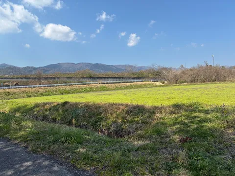 春の訪れ、緑の絨毯と山並み