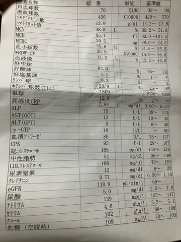 数値の海に浮かぶ静寂