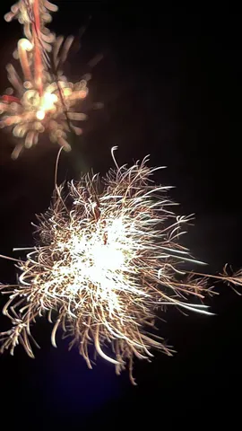 夜空に咲く光の花