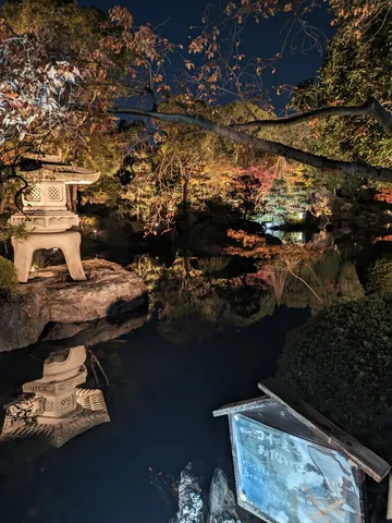 夜に浮かぶ灯籠と紅葉の庭園