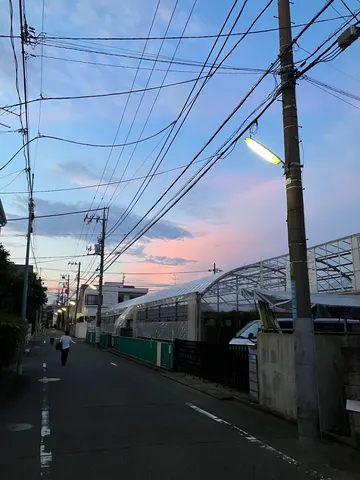 夕暮れ時の電線と温室