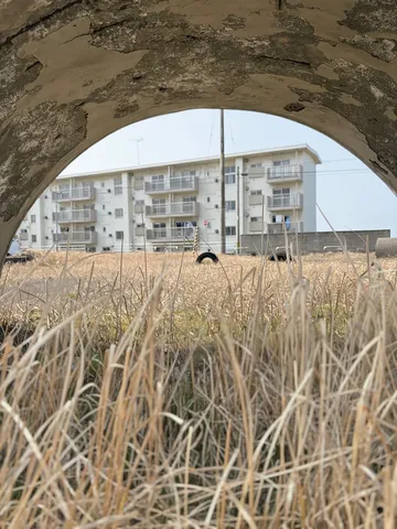 草と建物のアーチ越しの風景