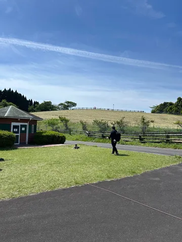 広がる青と穏やかな距離