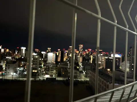 鉄格子越しの夜景