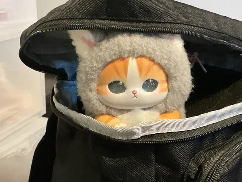 リュックに潜む猫？