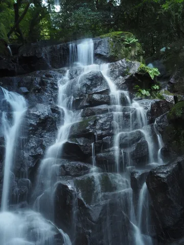 岩肌を伝う命の水