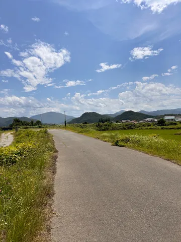夏の田舎道、晴れやかな空