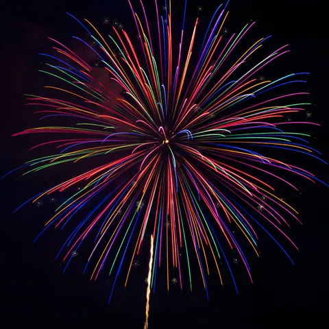 夜空に咲く、色とりどりの光の花