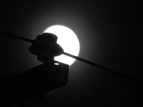月夜に浮かぶ電線