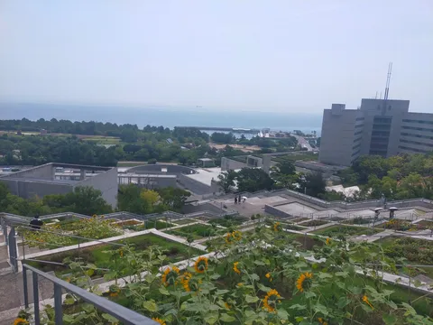 海と建物、そしてひまわりのコントラスト