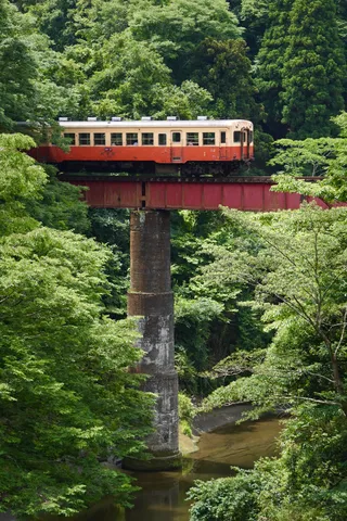 深緑の渓谷を渡る列車