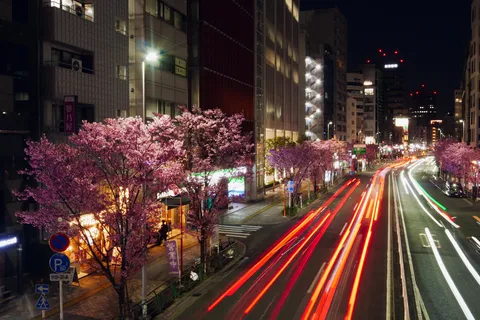 桜舞う都会、光の疾走