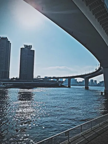橋の下、きらめく水面