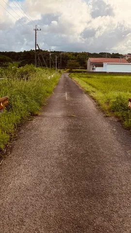 田舎道の静けさ