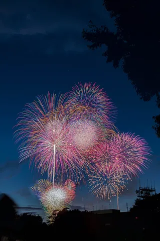 夜空を彩る壮大な花火の饗宴