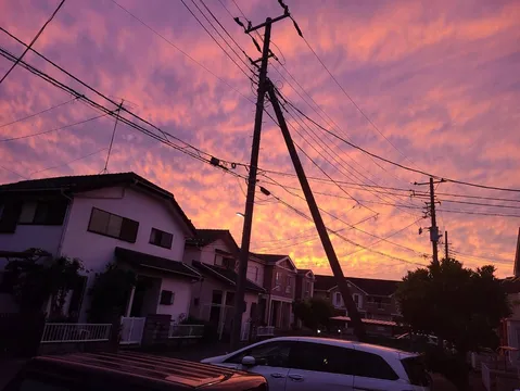 夕暮れの街を彩る電線