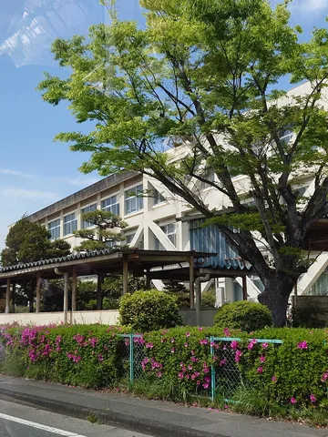 新緑とコンクリートの間