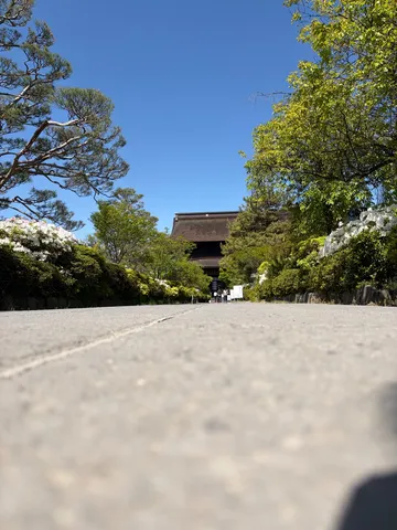 新緑と古刹へ続く道